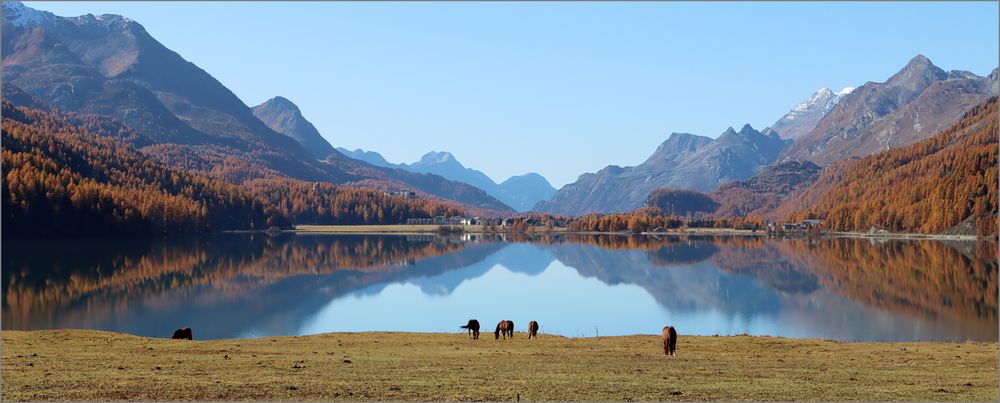 das Engadin geniessen...