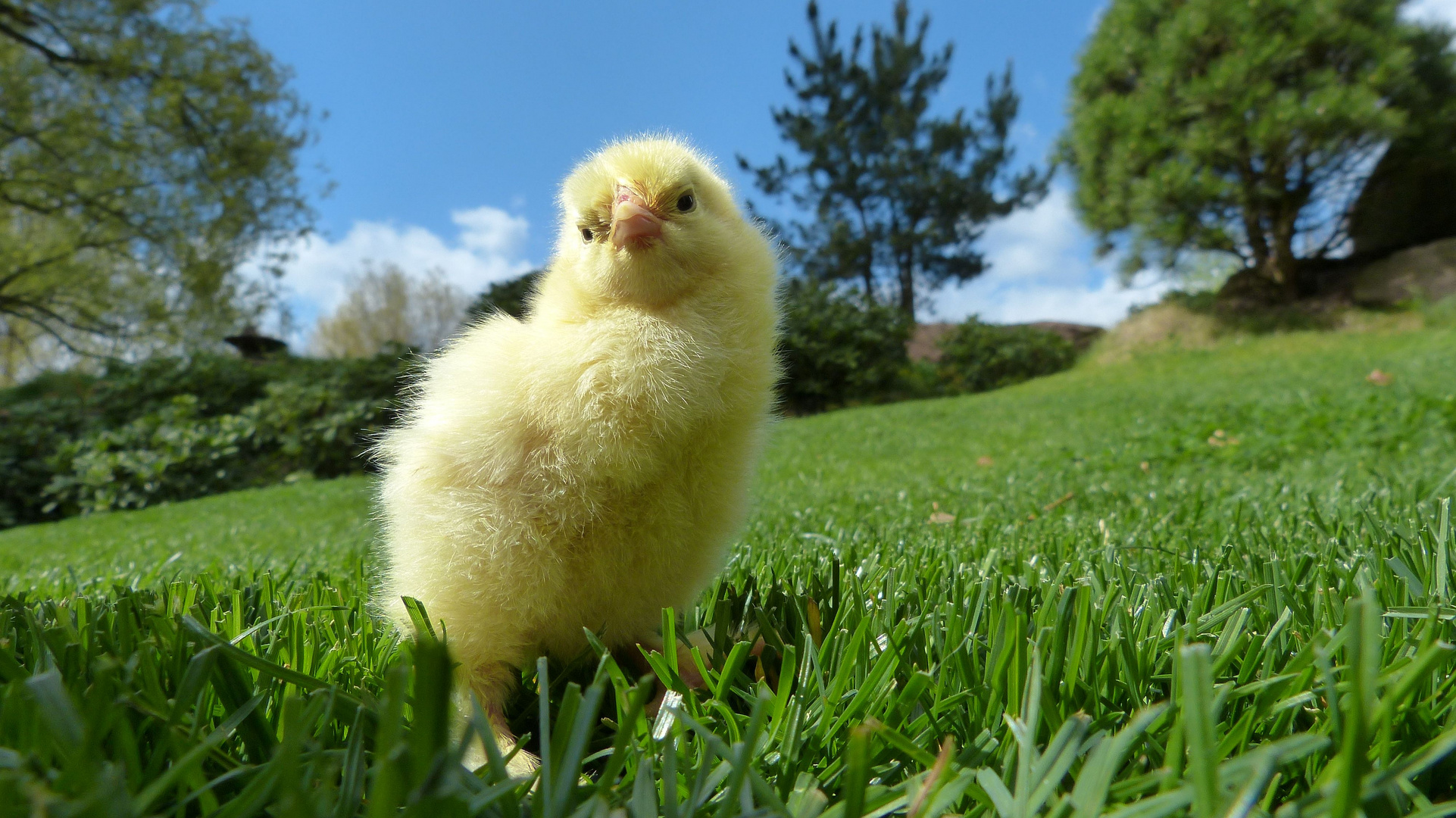 Das enge Ei ist passé! - Ostern!