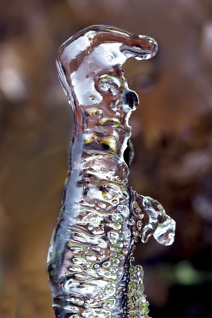 Das Erd-Eis-Männchen!  -  Une création glaciale...