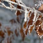 Das erste bisschen Winter