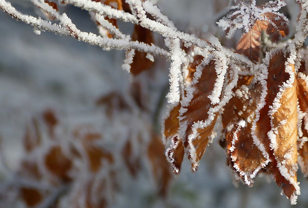 Das erste bisschen Winter