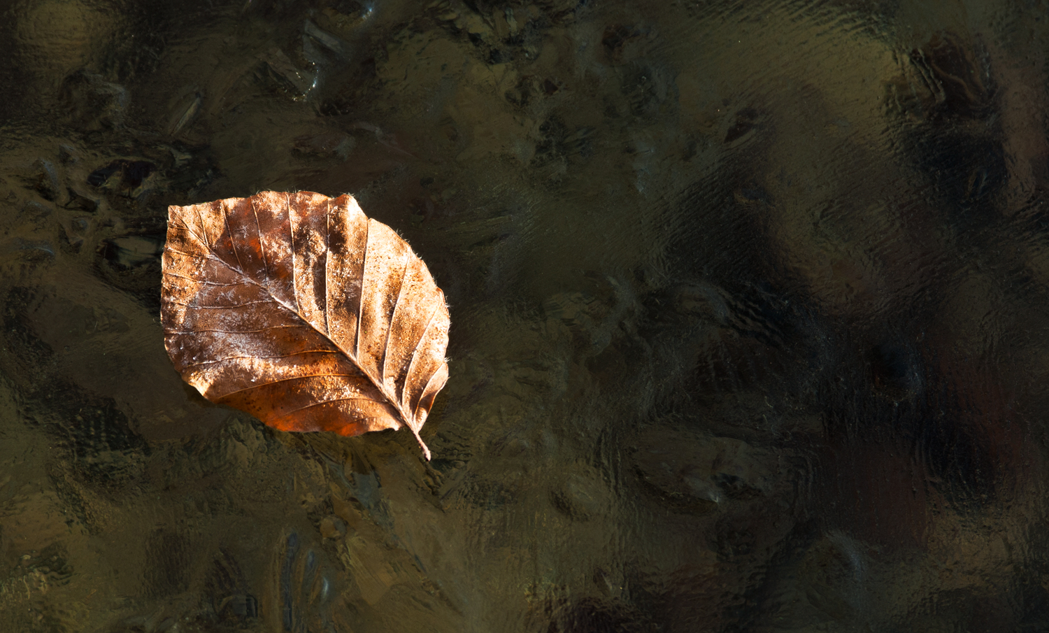 Das erste Eis in diesem Herbst