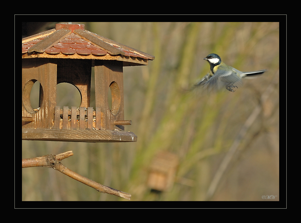 Das erste Flugfoto...