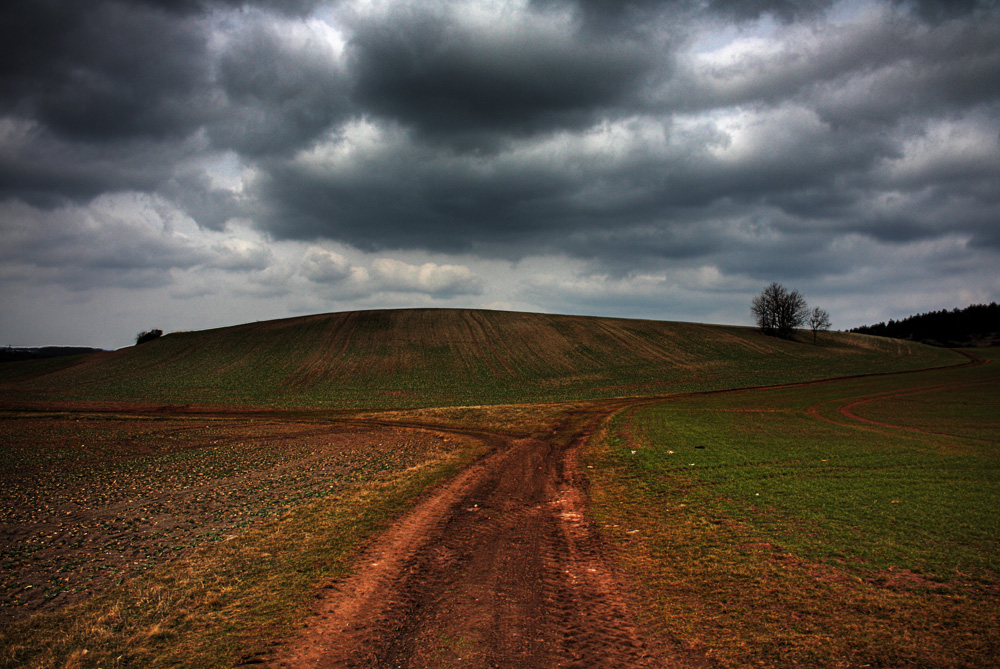 das erste grün