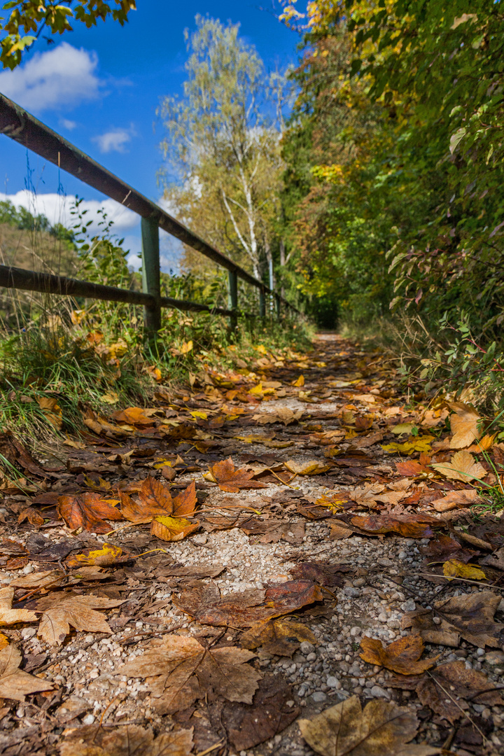 Das erste Herbstlaub