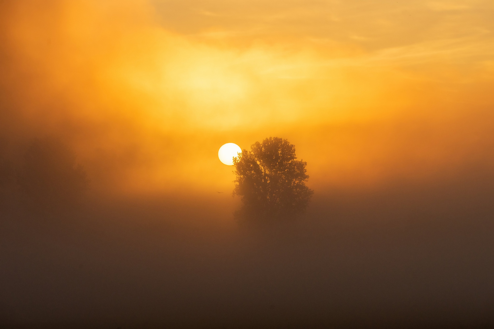 Das erste Licht