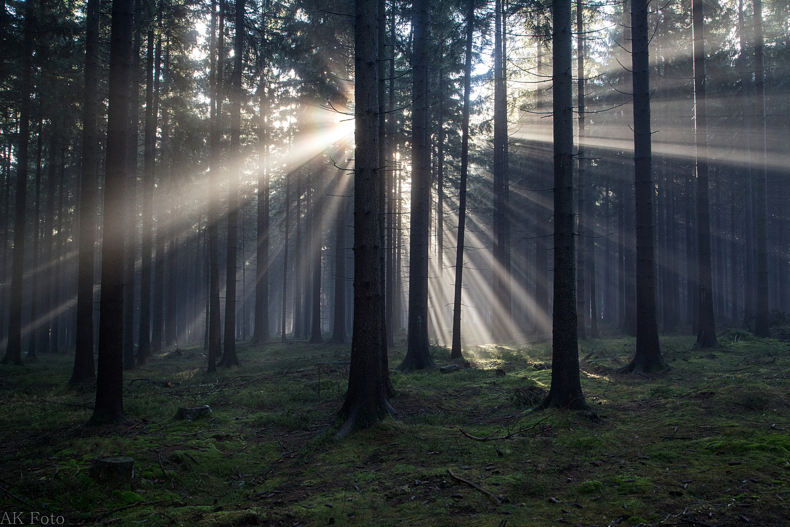 das erste Licht ...