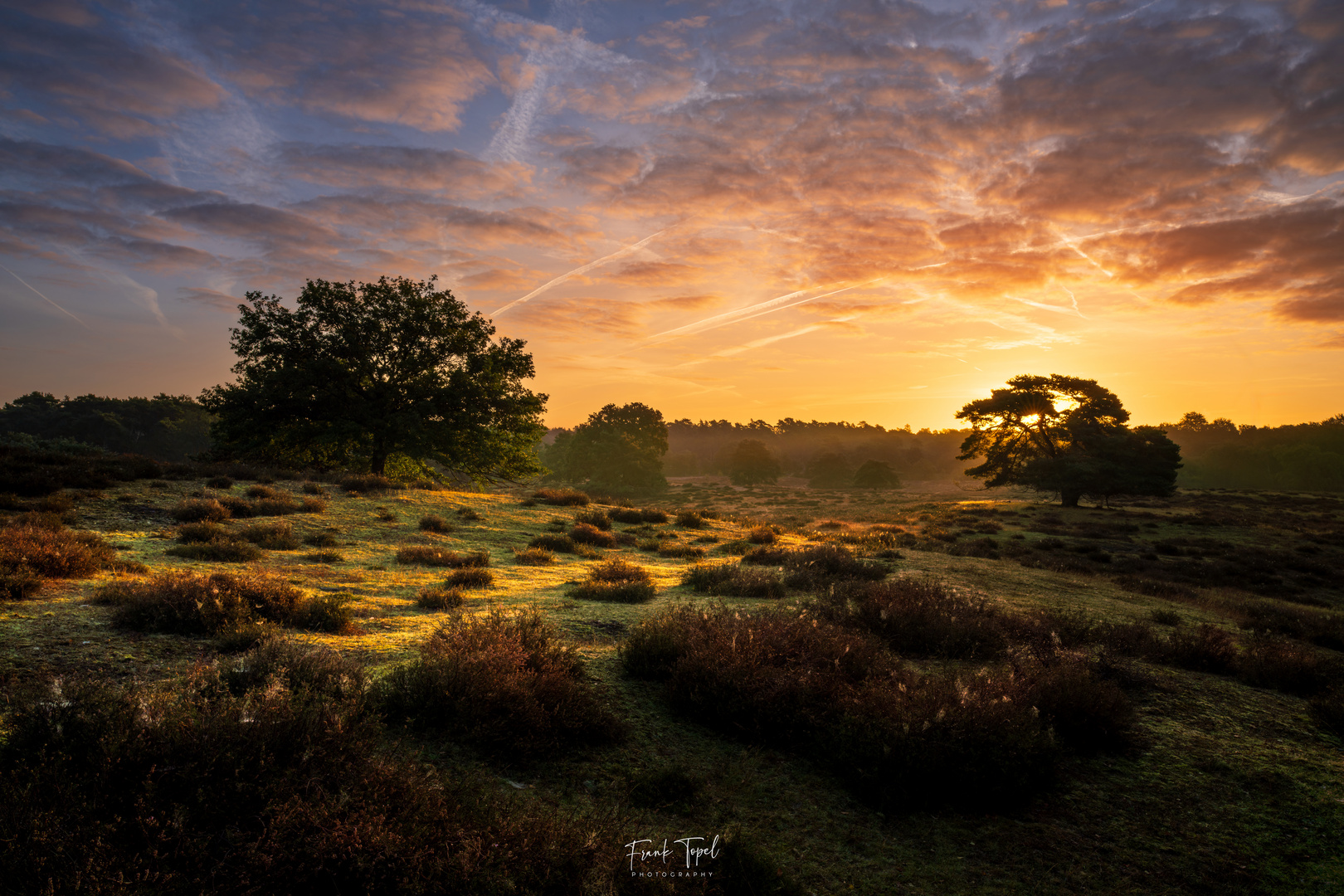 Das erste Licht des Tages streift die Heide