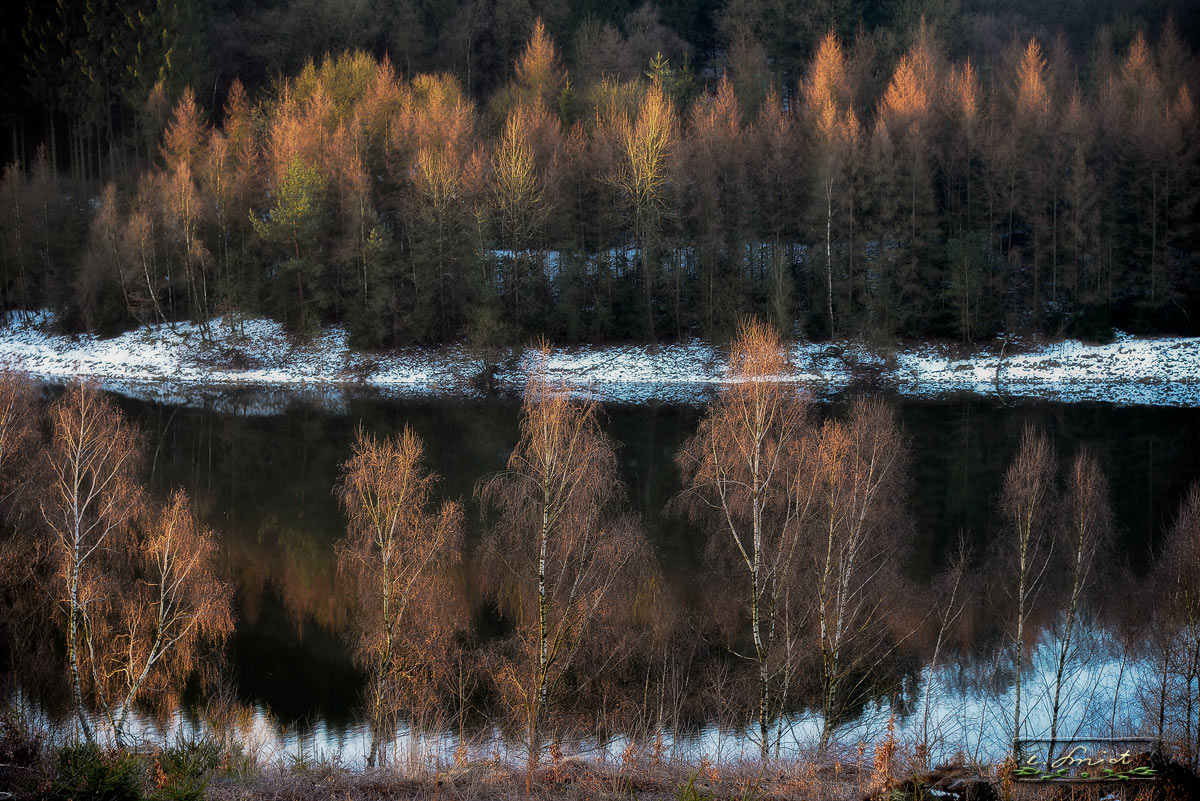 Das erste Licht