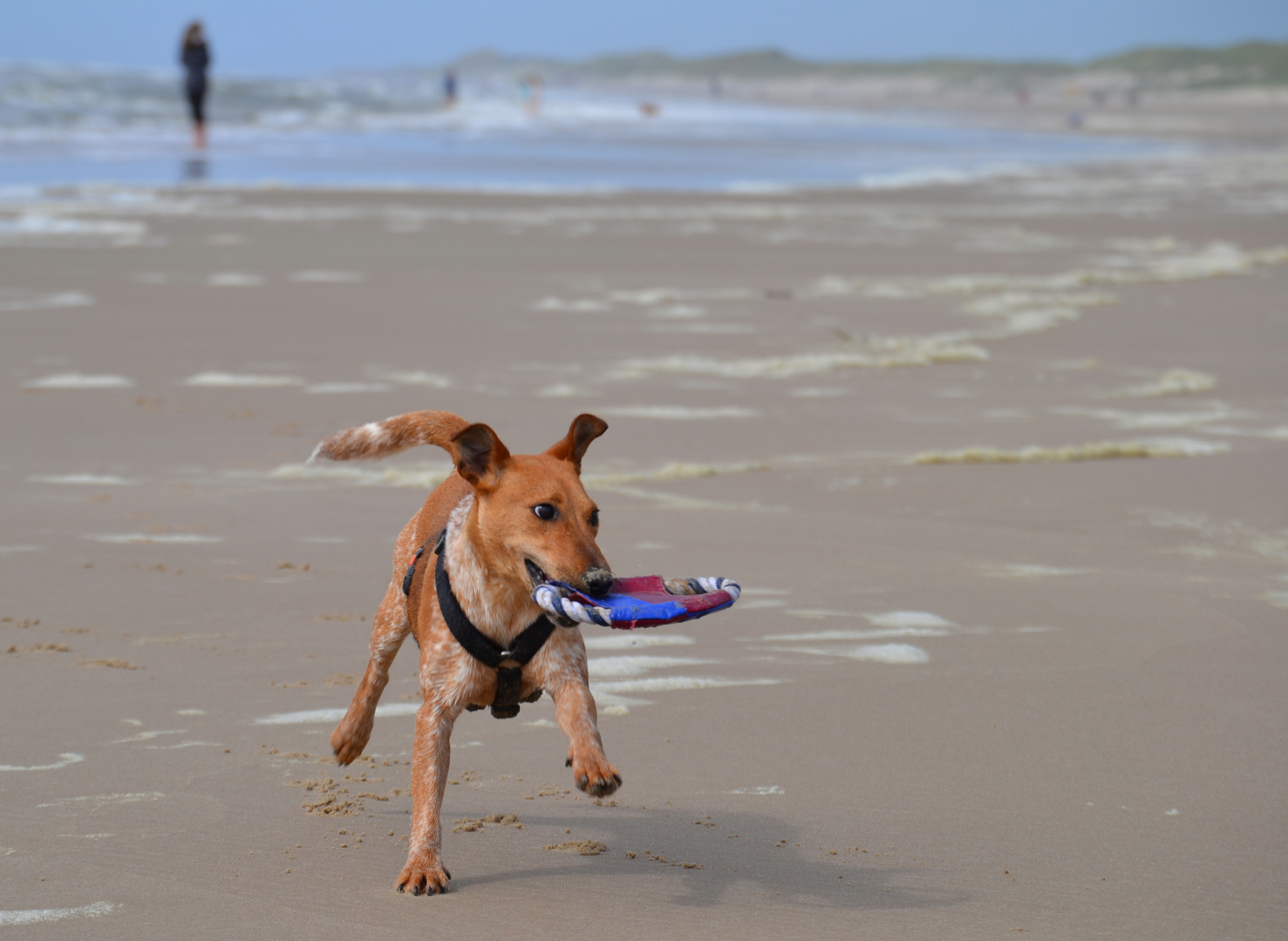 Das erste Mal am Strand