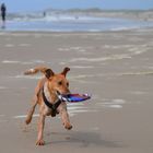 Das erste Mal am Strand