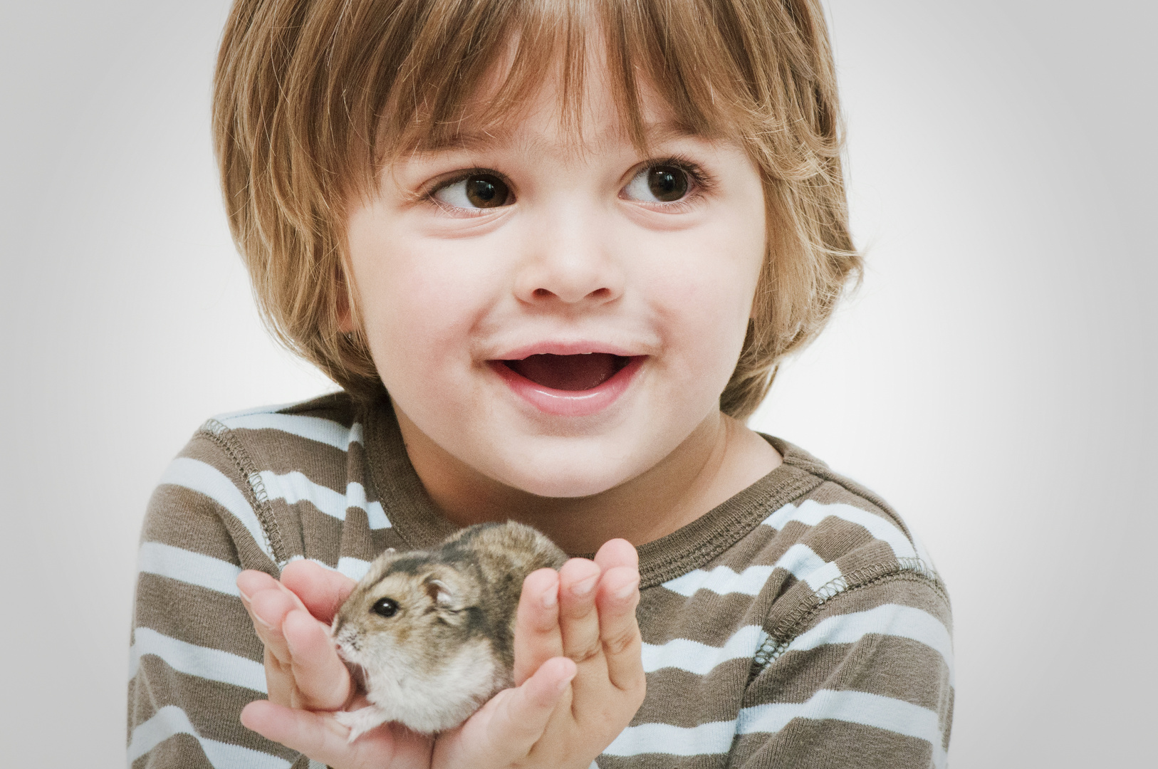 Das erste mal einen Hamster in den kleinen Händchen