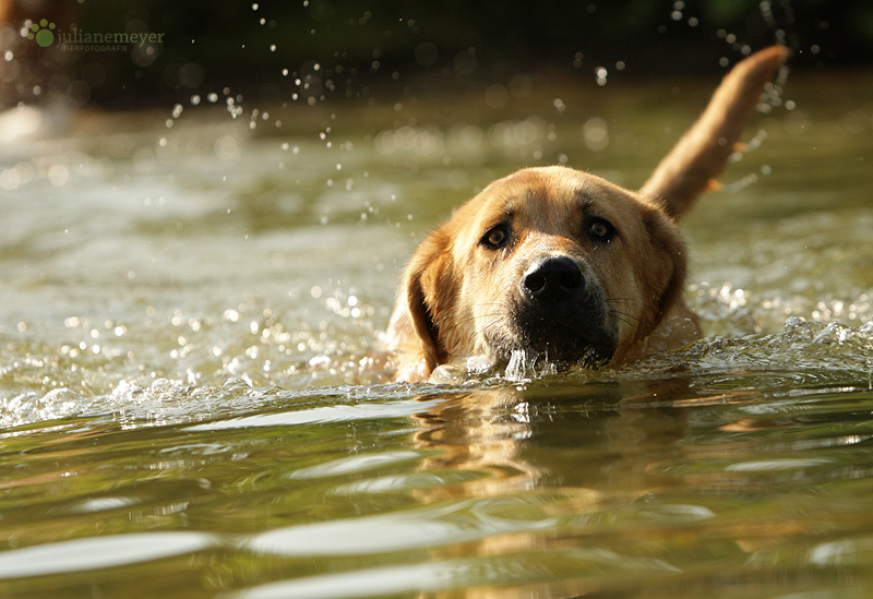 Das erste mal schwimmen