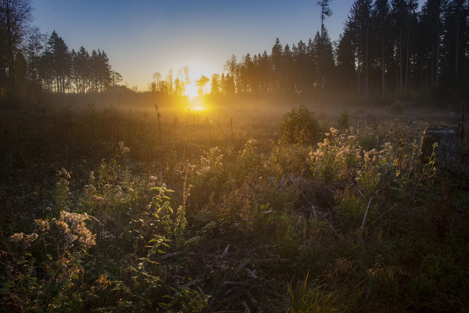 Das erste Morgenlicht