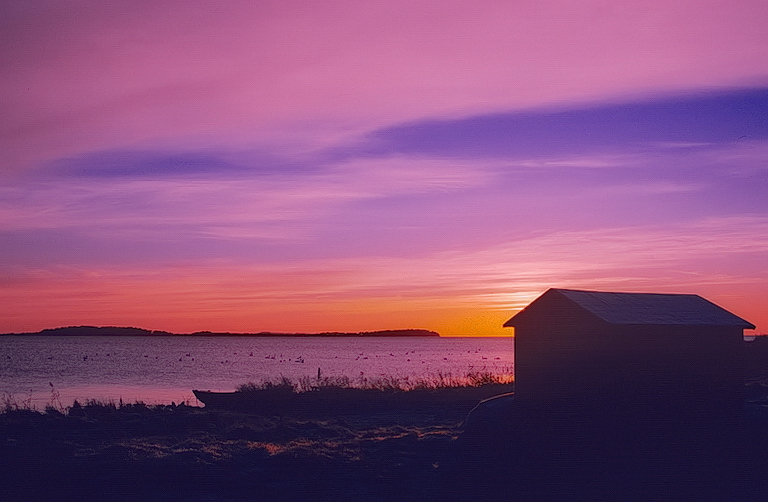 Das erste Morgenlicht am Bodden...