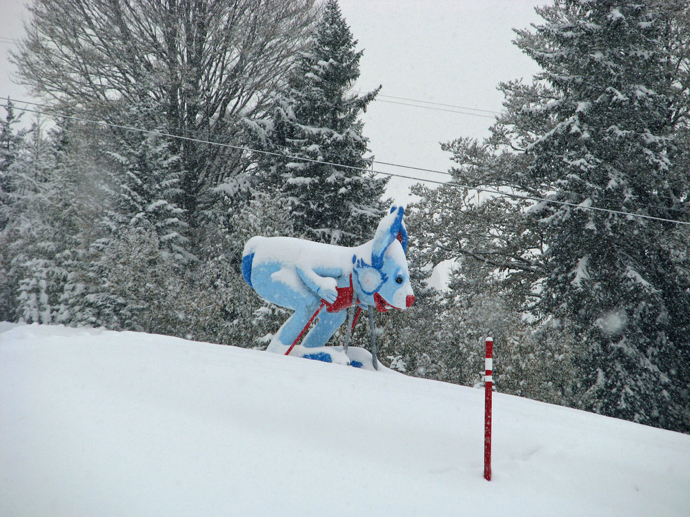 Das erste Skihaserl der Saison 2009/2010