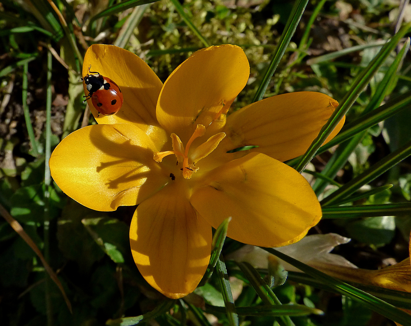 Das erste Sonnenbad