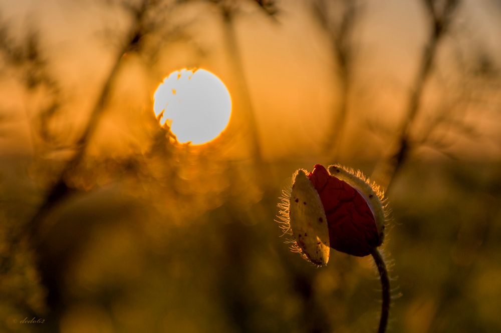 Das erste Sonnenlicht...