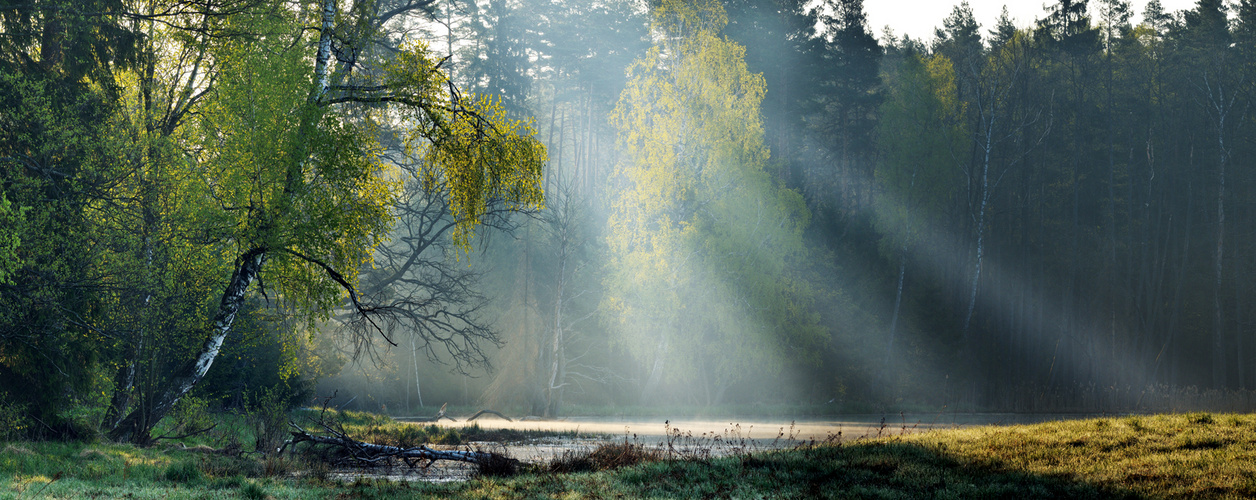 Das erste Sonnenlicht am Morgen, Masuren