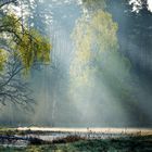 Das erste Sonnenlicht am Morgen, Masuren