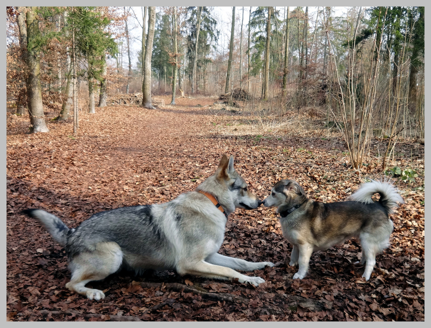 Das erste Treffen .