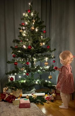 Das erste Weihnachtsfest