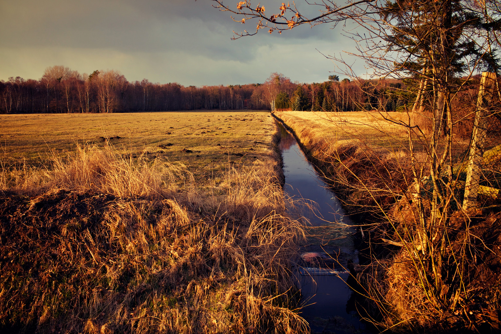 Das ertrunkene Werbeplakat (Landschaft bei Worpswede)