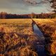 Das ertrunkene Werbeplakat (Landschaft bei Worpswede)