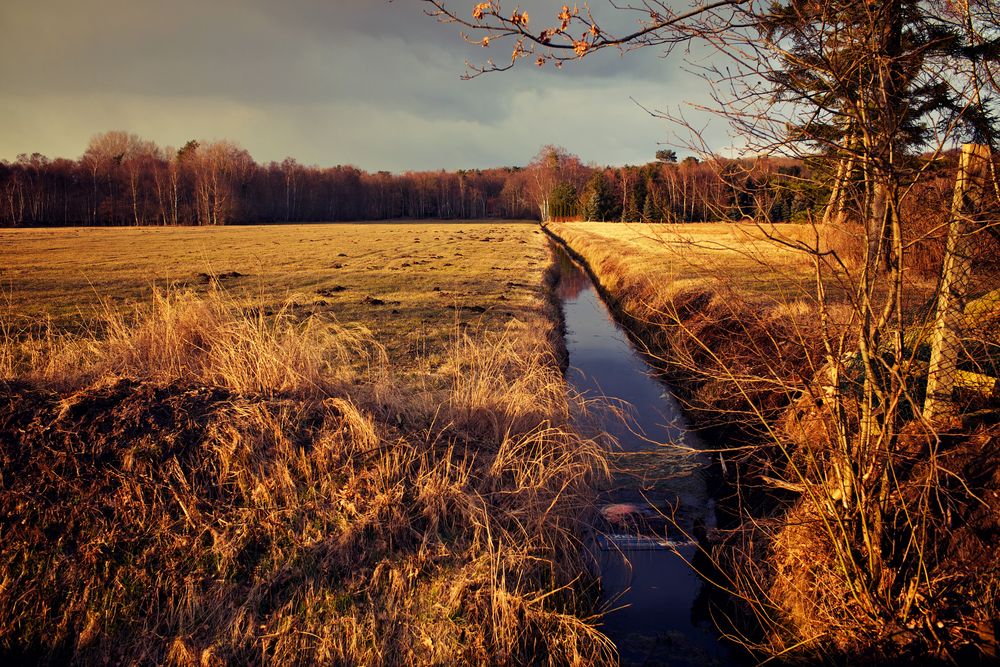 Das ertrunkene Werbeplakat (Landschaft bei Worpswede) von meolog 