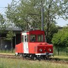 Das Eselchen auf großer Fahrt