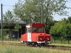 Das Eselchen auf großer Fahrt