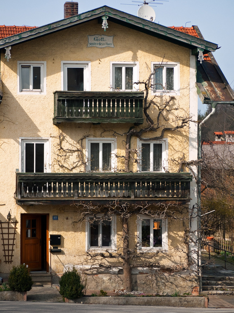 Das etwas andere Baumhaus