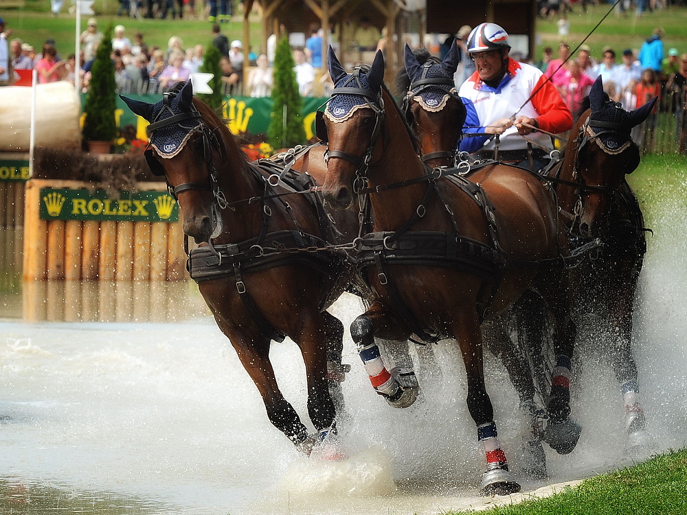 das etwas andere Fahrsportfoto I