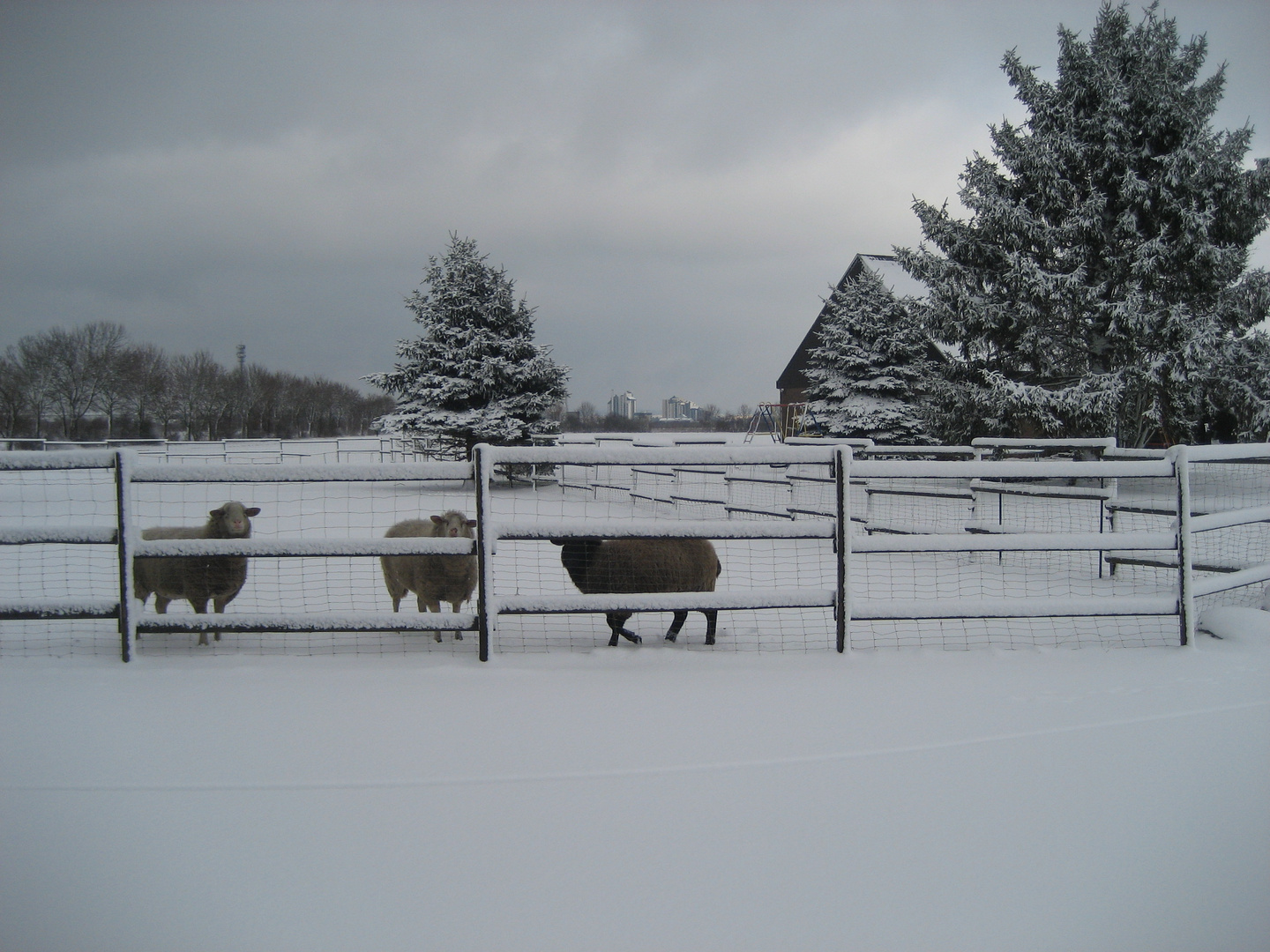 Das etwas andere Winterbild :)