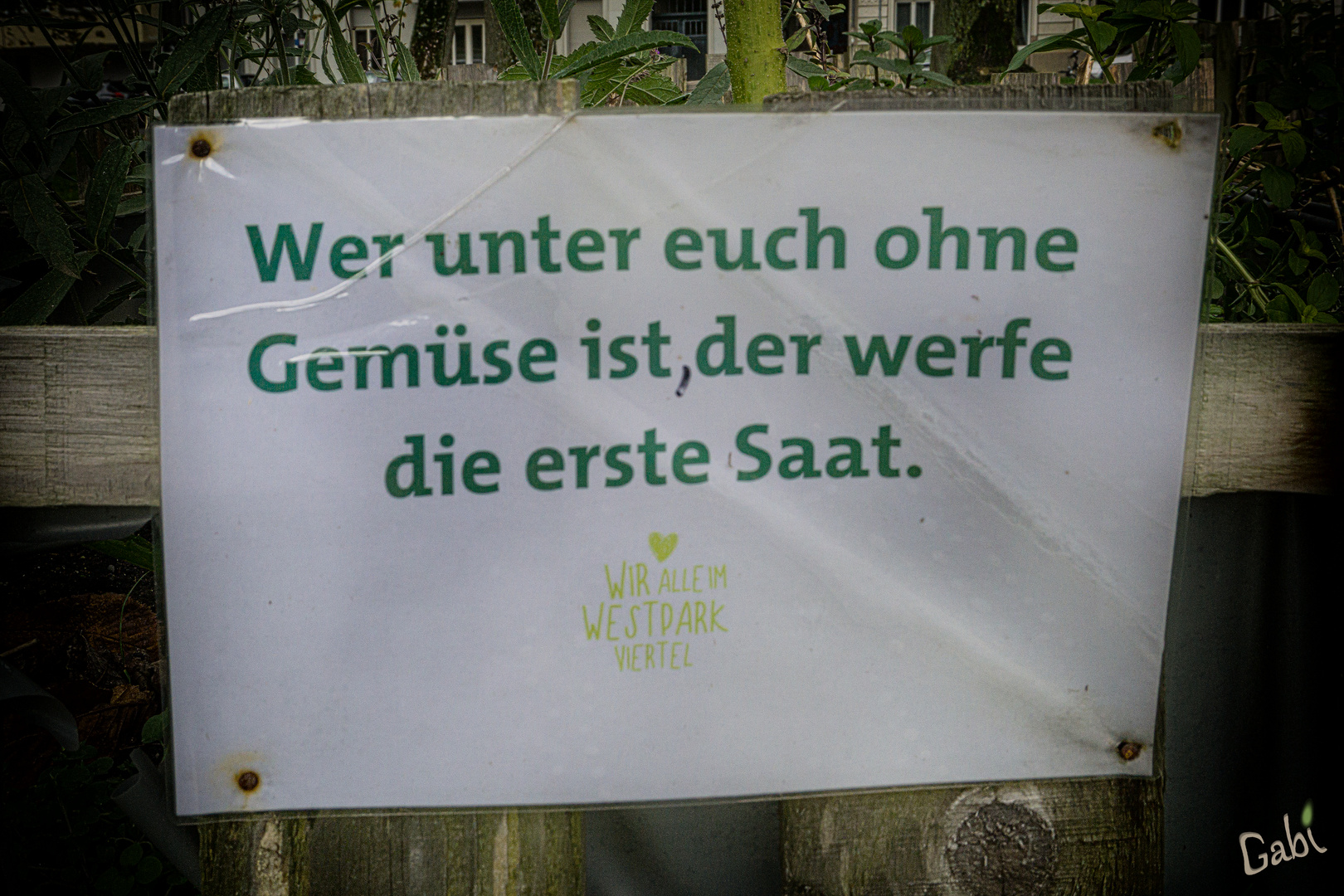 Das etwas andere Wort zum Sonntag... Foto & Bild quatsch, fun und