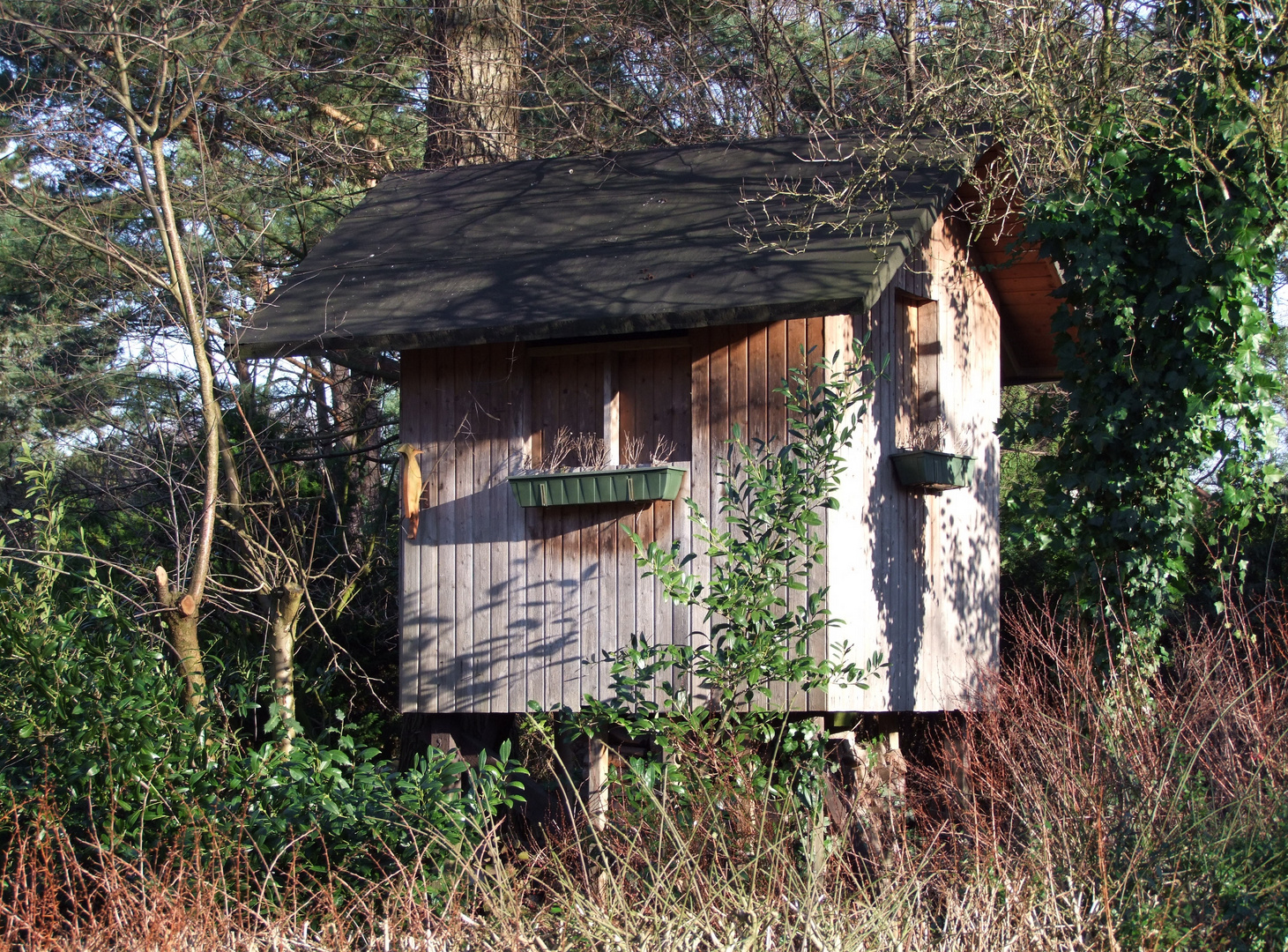 Das etwas größere Vogelhaus