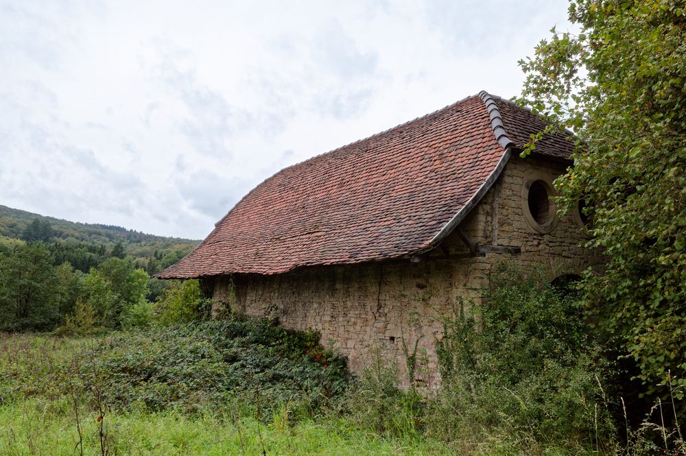 Das Eulenhaus (2)