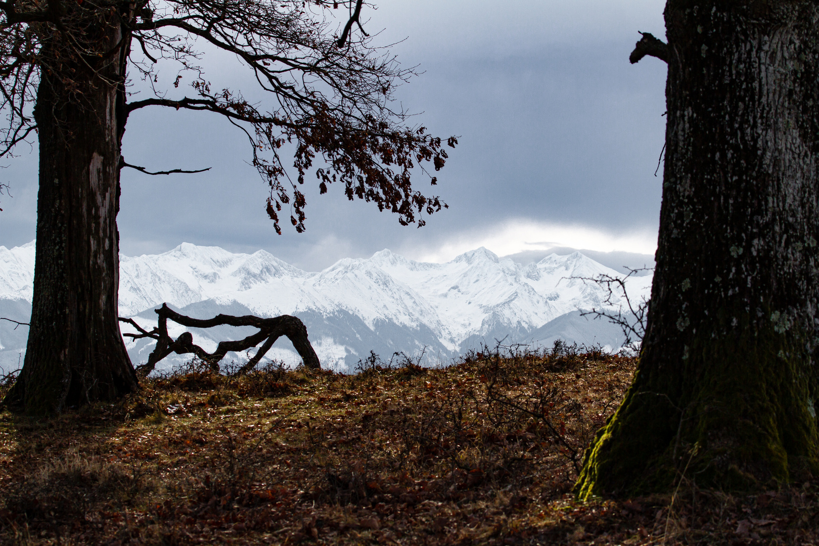 Das Fagarasan Gebirge am 06-02-2020