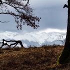 Das Fagarasan Gebirge am 06-02-2020