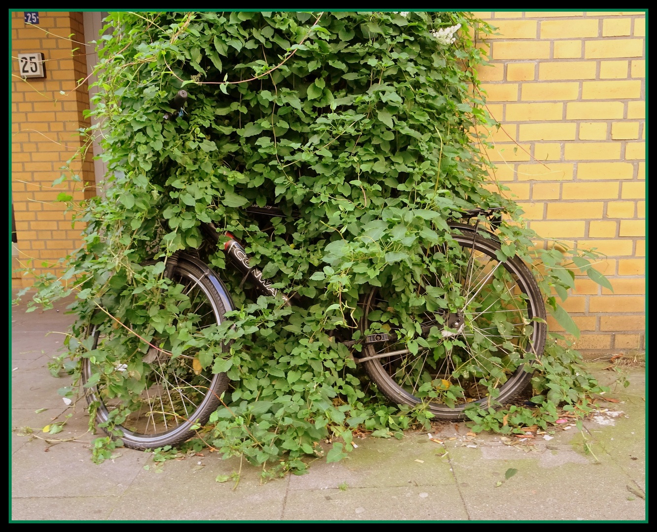 Das Fahrrad  