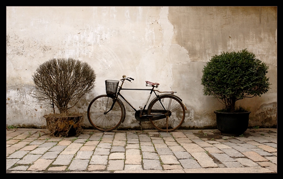 das Fahrrad ...