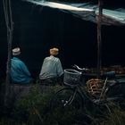 Das Fahrrad