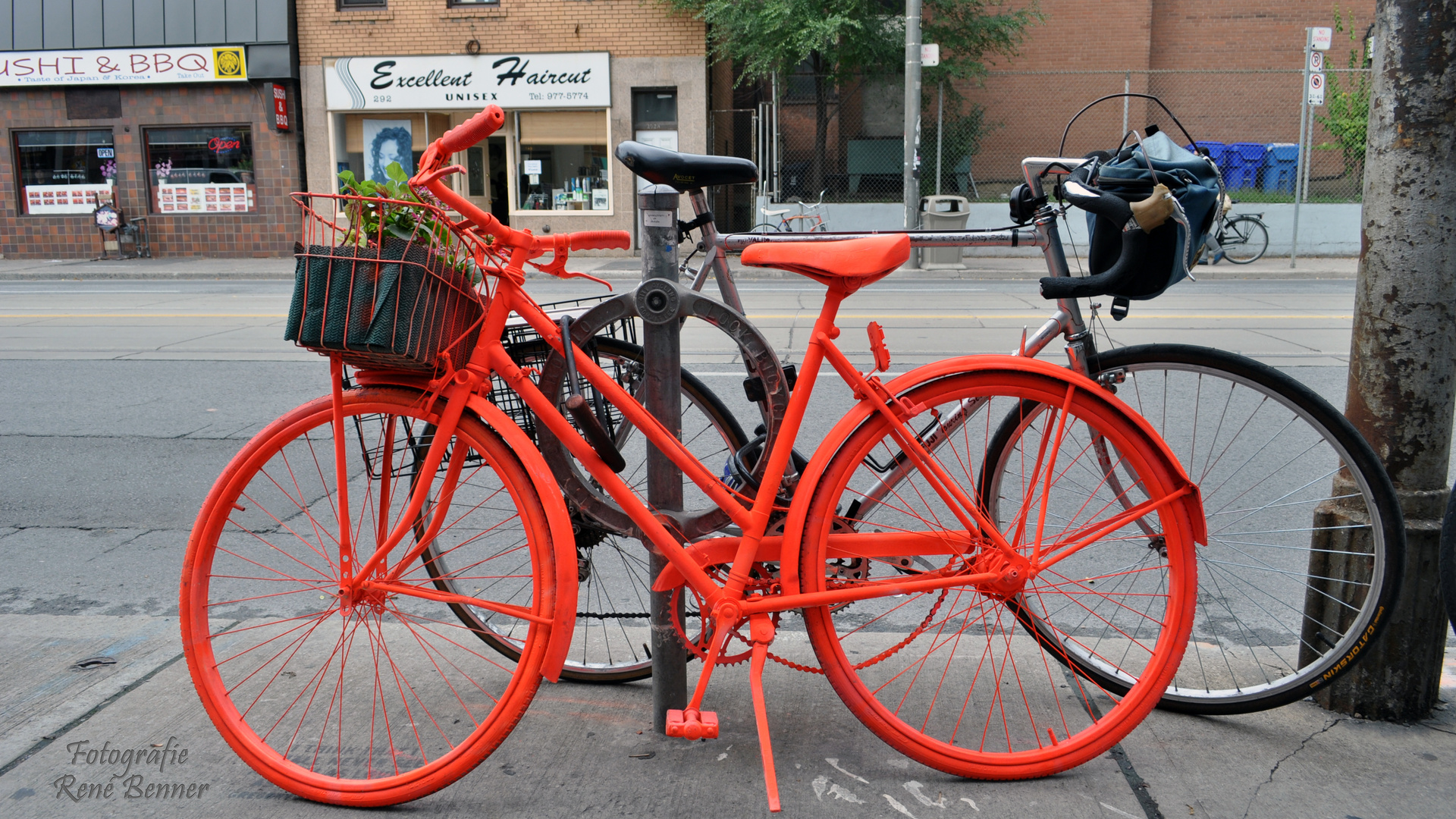 Das Fahrrad