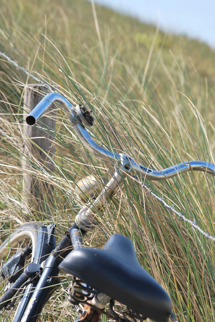 Das Fahrrad