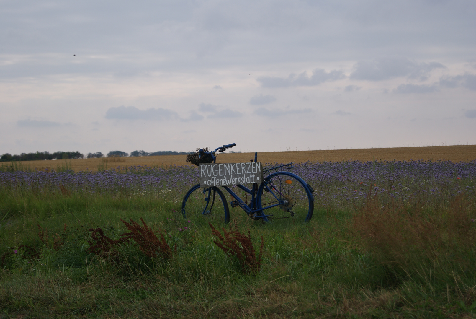 Das Fahrrad