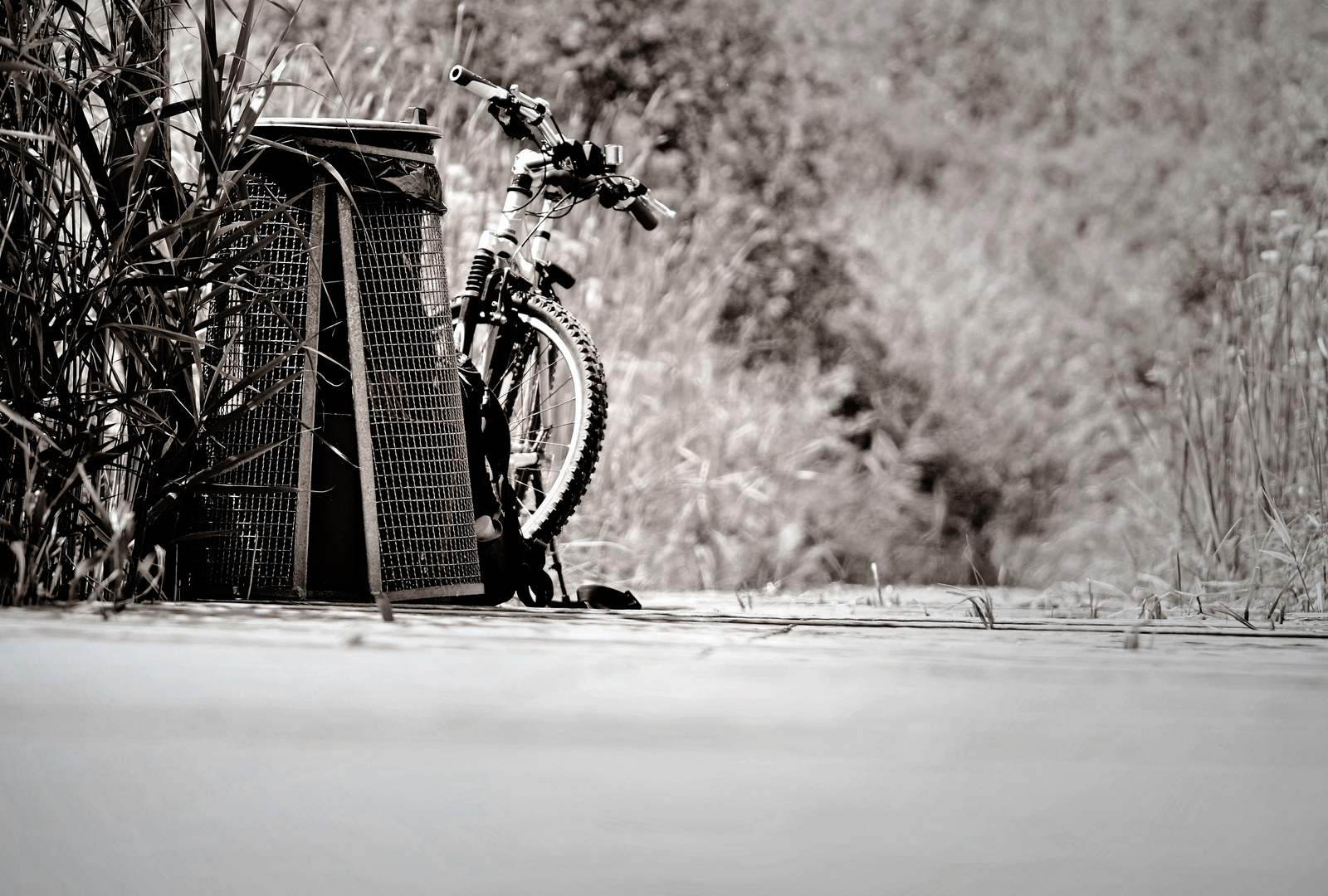 Das Fahrrad am See