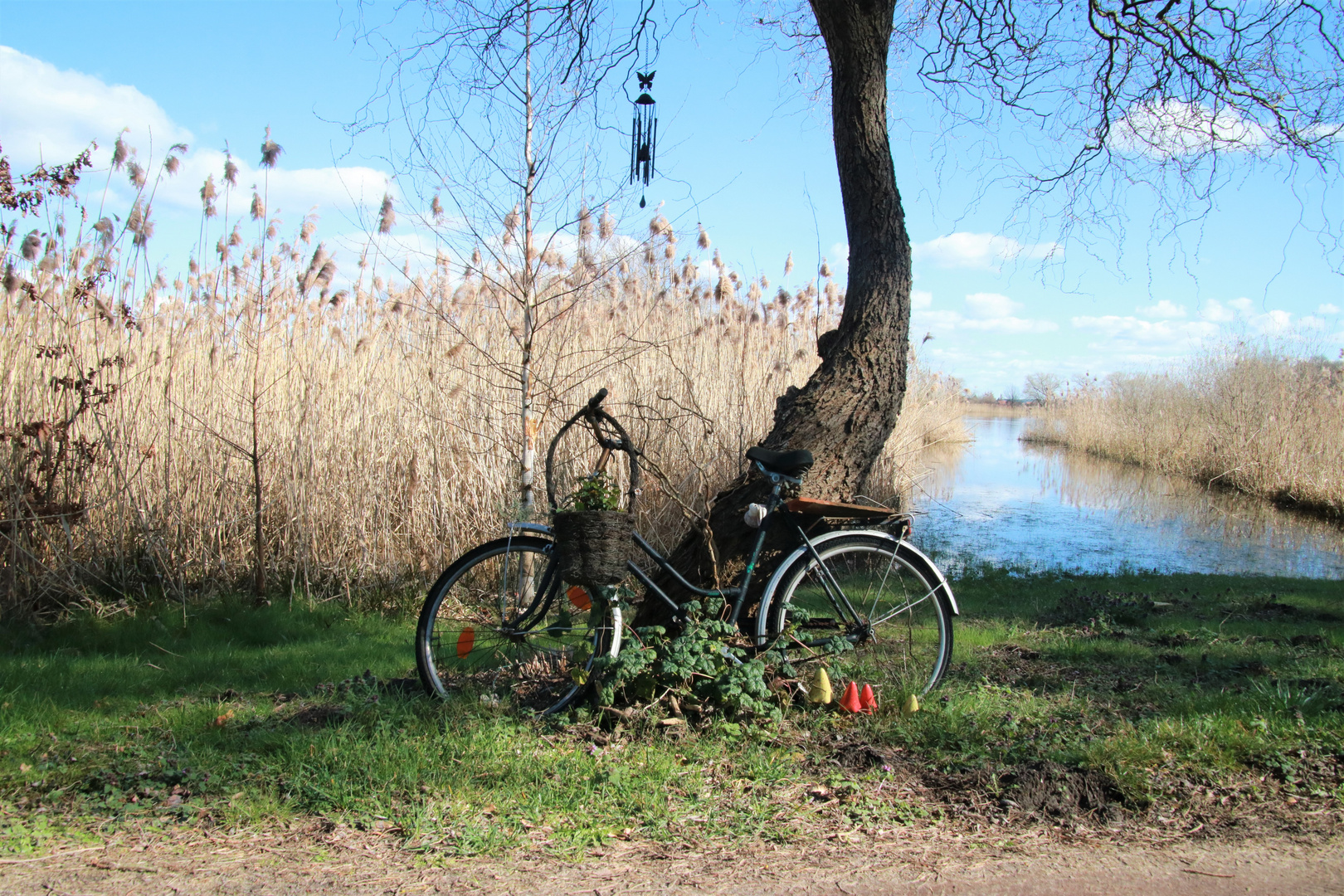 Das Fahrrad 