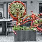 Das Fahrrad Beet