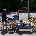 Das Fahrrad, bietet unbegrenzte Möglichkeiten