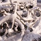 Das Fahrrad bleibt heute stehen